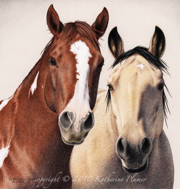 horse drawing by Katherine Plumer