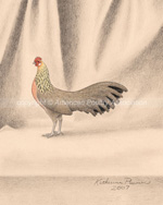 Golden Phoenix Chicken Art Drawing