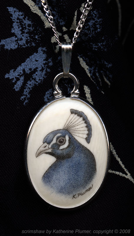 Color Scrimshaw Peacock Pendant