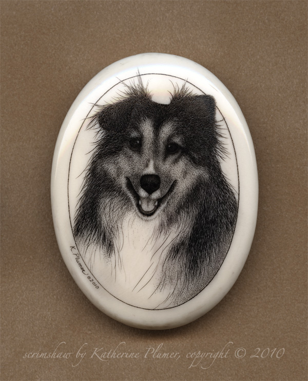 scrimshaw dog portrait