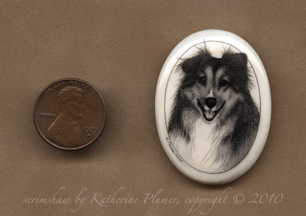 scrimshaw dog portrait